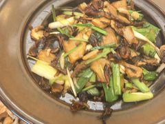 爆炒赤松茸黑牛肝菌-云海肴·汽锅鸡·云南菜(祥云小镇店)