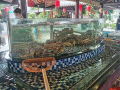 -顺德了能馆(虎门店)