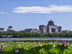 -莲花池公园