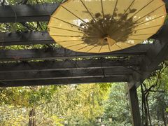 -白马涧龙池景区