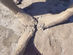 -南汇新城海滩