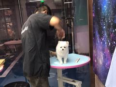 -FAELING PETS美天灵宠物(富力广场店)