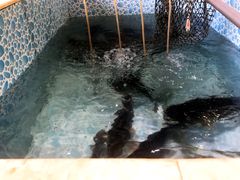 -宁记柴火灶台鱼·全鱼宴(龙源小区店)