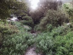 -参仙谷生态旅游度假区