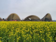 -中国天府农业博览园