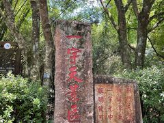 -九曲溪竹筏码头