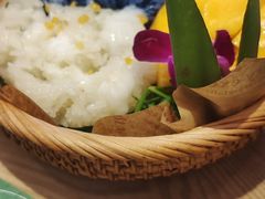 -mango tree芒果树泰国餐厅(青岛万象城店)