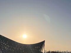 -南汇嘴观海公园
