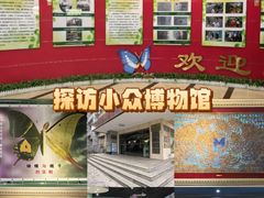 -上海昆虫博物馆