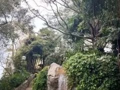 -九龙公园