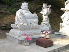 -金龙寺国家森林公园