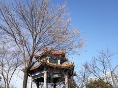 -滨河世纪广场公园