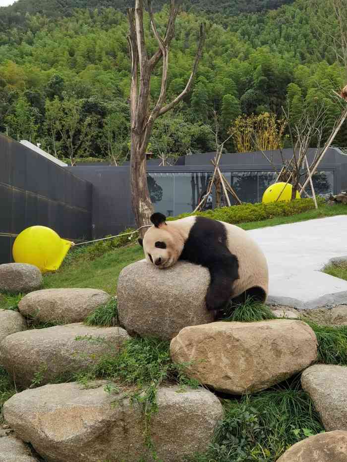 德清田博园-"团建,挑战的一个高空项目从门口走过去大.