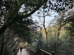-紫金山索道-售票处