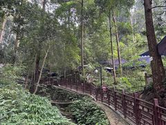 -都江堰普照寺