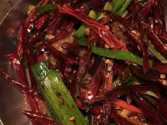 -毛辣果·酸(OHA复兴西路店)