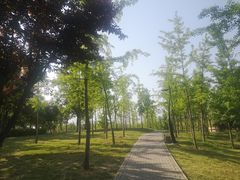 -洨河生态公园