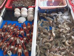 -南沙十九涌渔人码头-南门