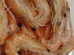 -小榄人家酒楼(民安店)