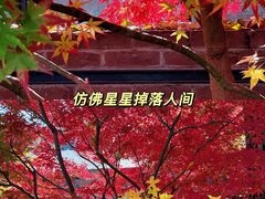 -中国农业博物馆