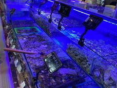 -渔民船说·北塘海鲜·天津菜·海肠捞饭(北塘古镇店)