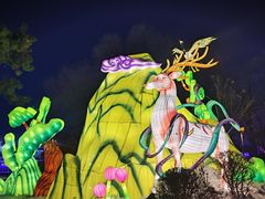 -长春市南湖公园