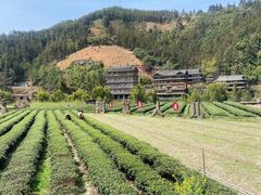 -程阳八寨景区