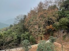 -莫干山风景区