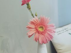 -滇咖啡体验店