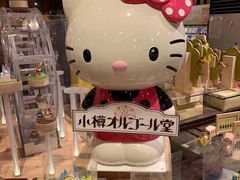 -小樽八音盒堂(手工制作体验馆店)