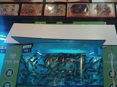 -千岛湖小鱼儿·淳安匠心农家菜