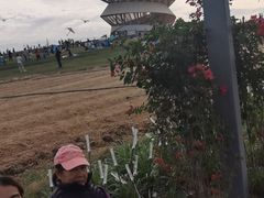 -光明小镇欢乐田园