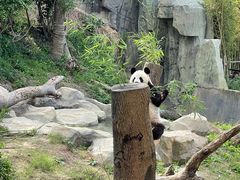 -宁波野生动物园