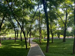 -莲花池公园