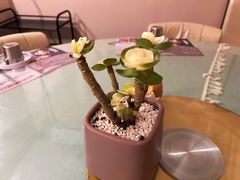 -瑞膳首尔参鸡汤(龙塔店)