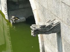-太平禅寺
