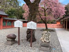 -富士山本宫浅间大社