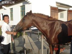 -松声马术俱乐部