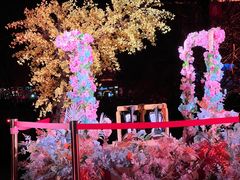 -花博汇(知音花月夜)