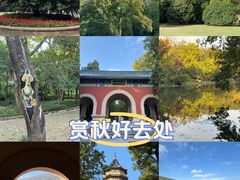 -灵谷景区