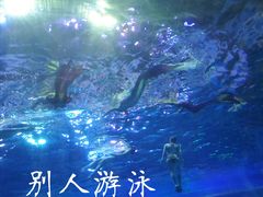 -华夏文旅海洋公园