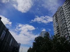 -武氏真功夫(第14店·新业广场店)