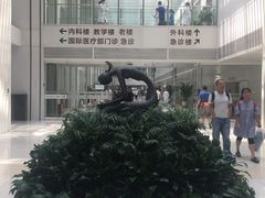 -北京协和医院(东单院区)
