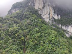 -秦岭天竺山生态文化旅游景区