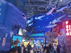 -烟台海昌鲸鲨海洋公园