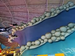 -烟台海昌鲸鲨海洋公园