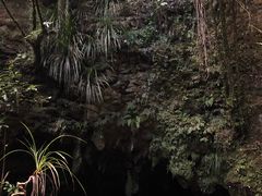 -怀托摩萤火虫洞