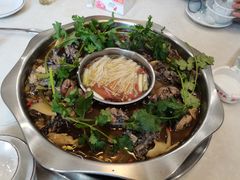 -黑河坝泡姜鸡贡椒鱼(贾旗路店)