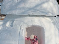 -沈阳奥体冰雪嘉年华