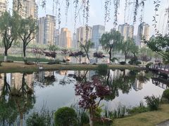 -西北湖绿化广场